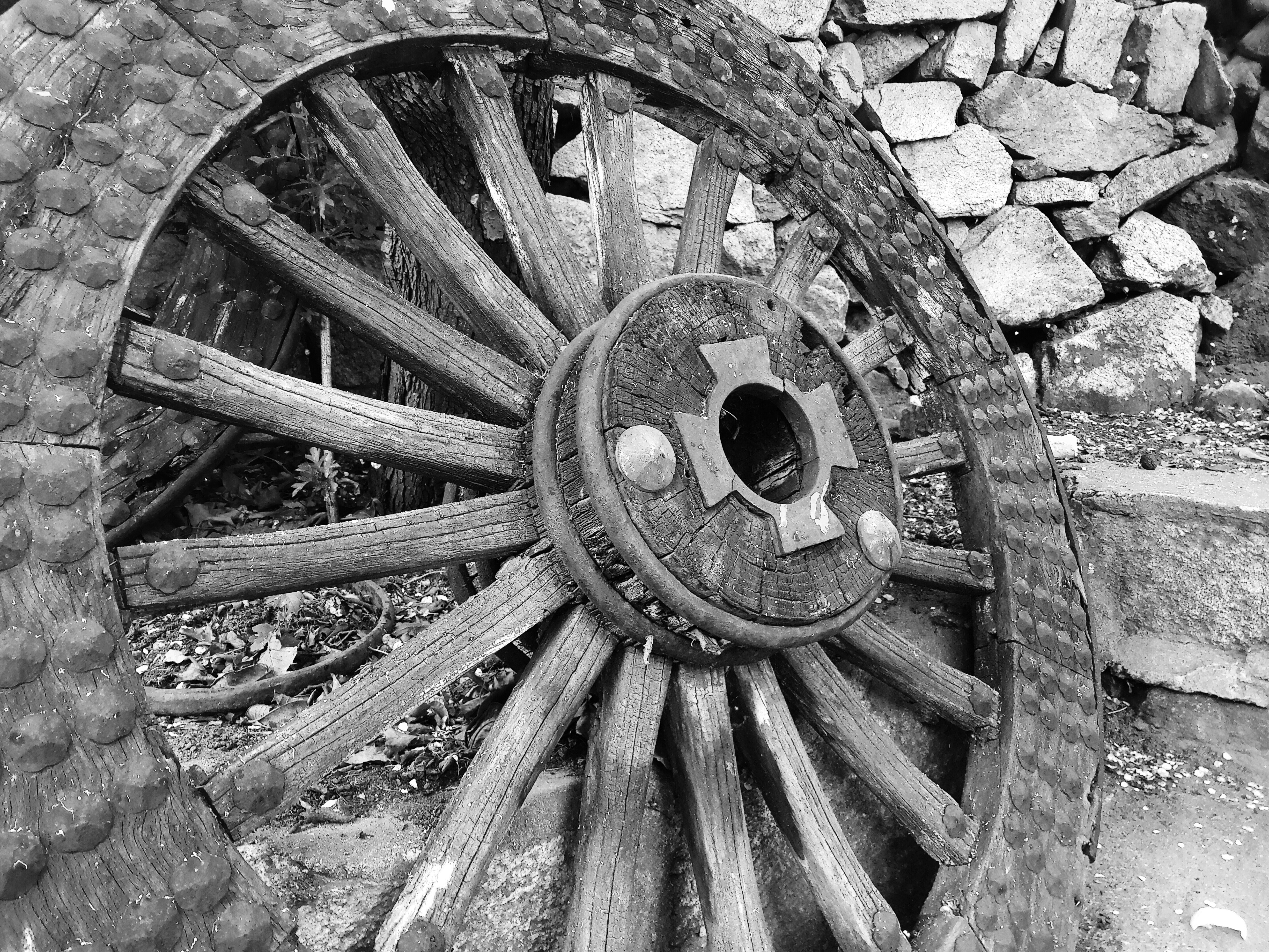 brown wooden horse tire wheel