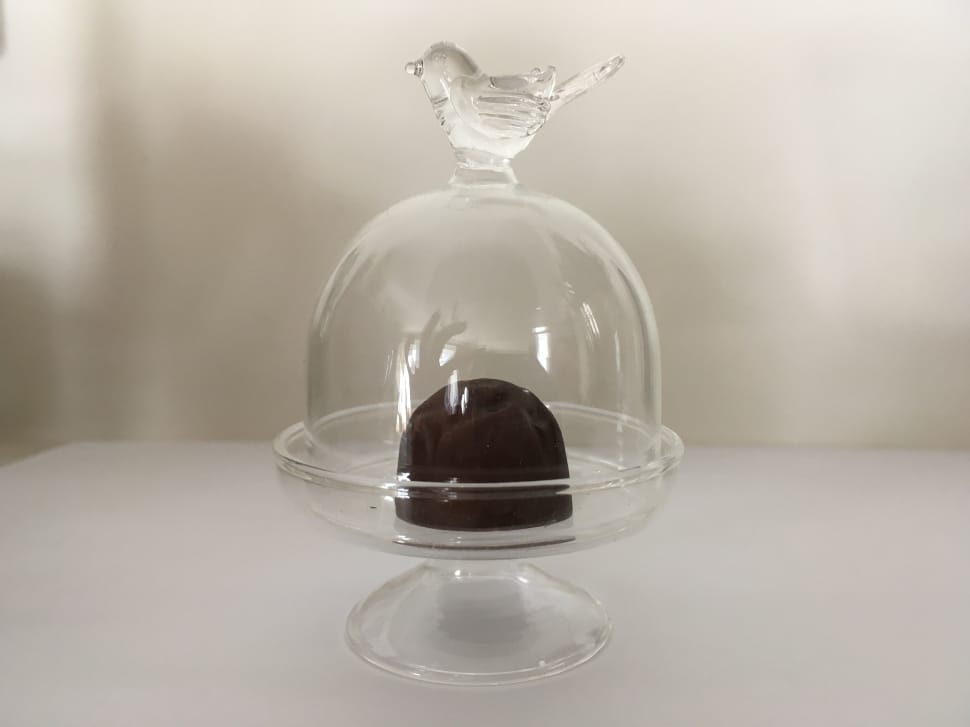 clear glass food dome stand preview