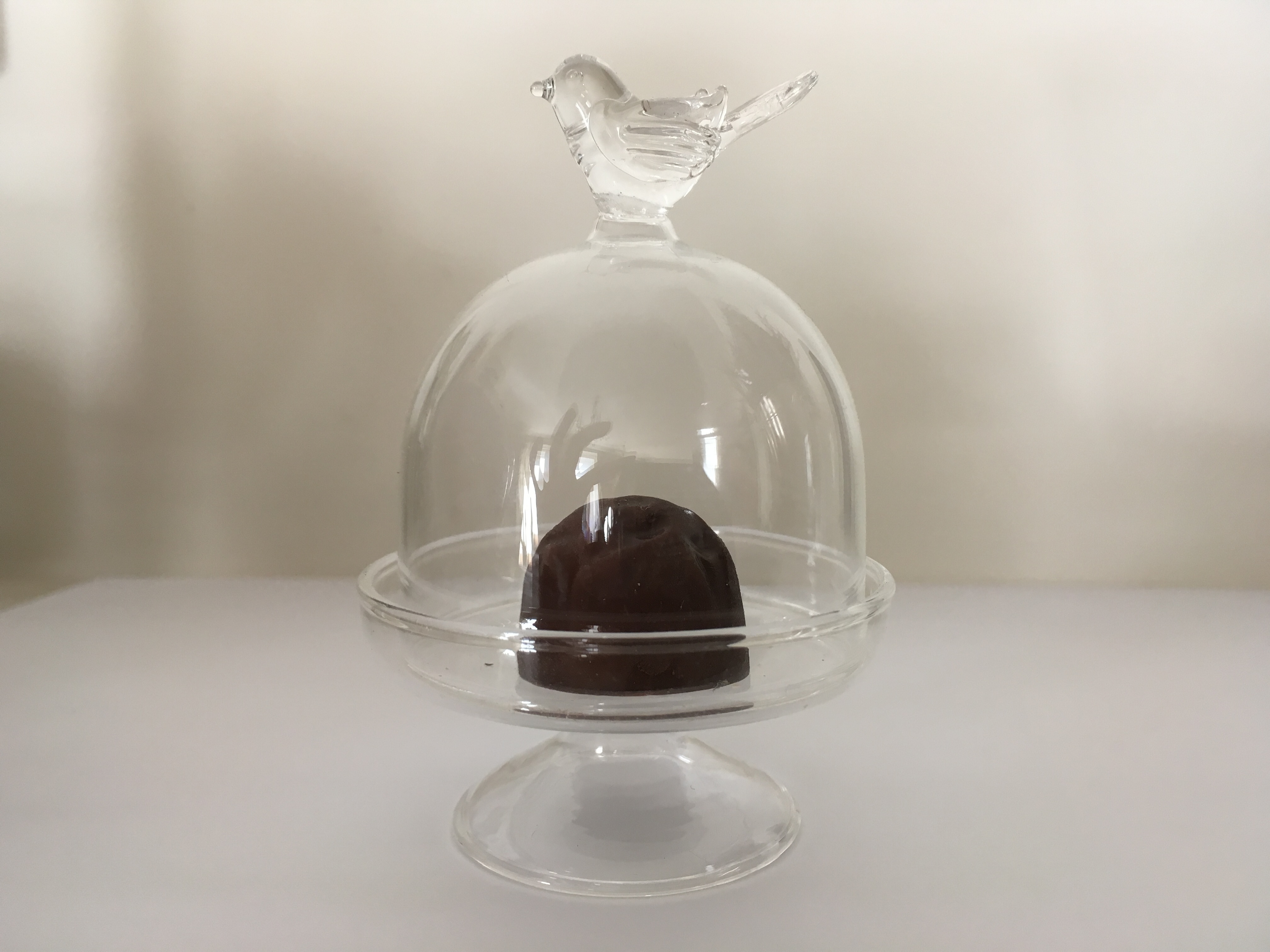 clear glass food dome stand