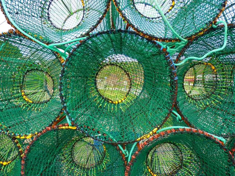 green round net container lot preview