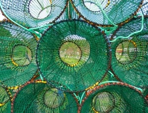 green round net container lot thumbnail