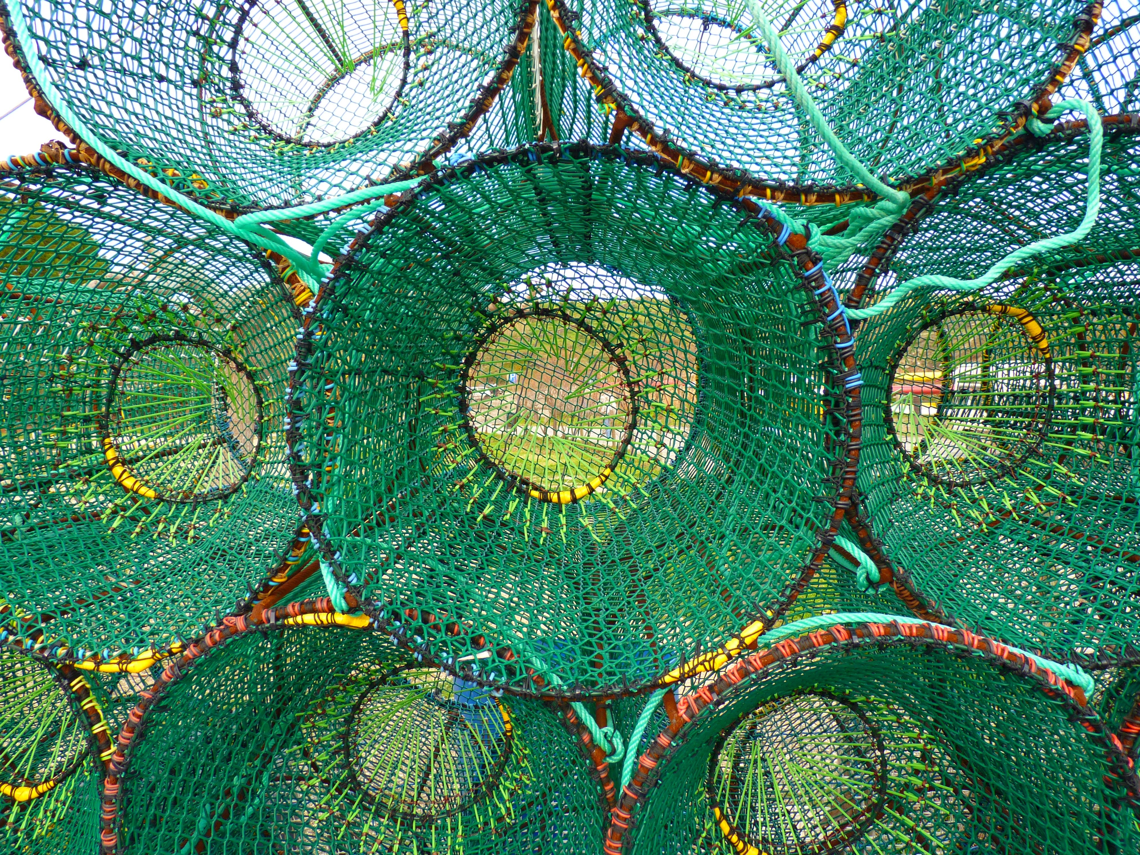 green round net container lot