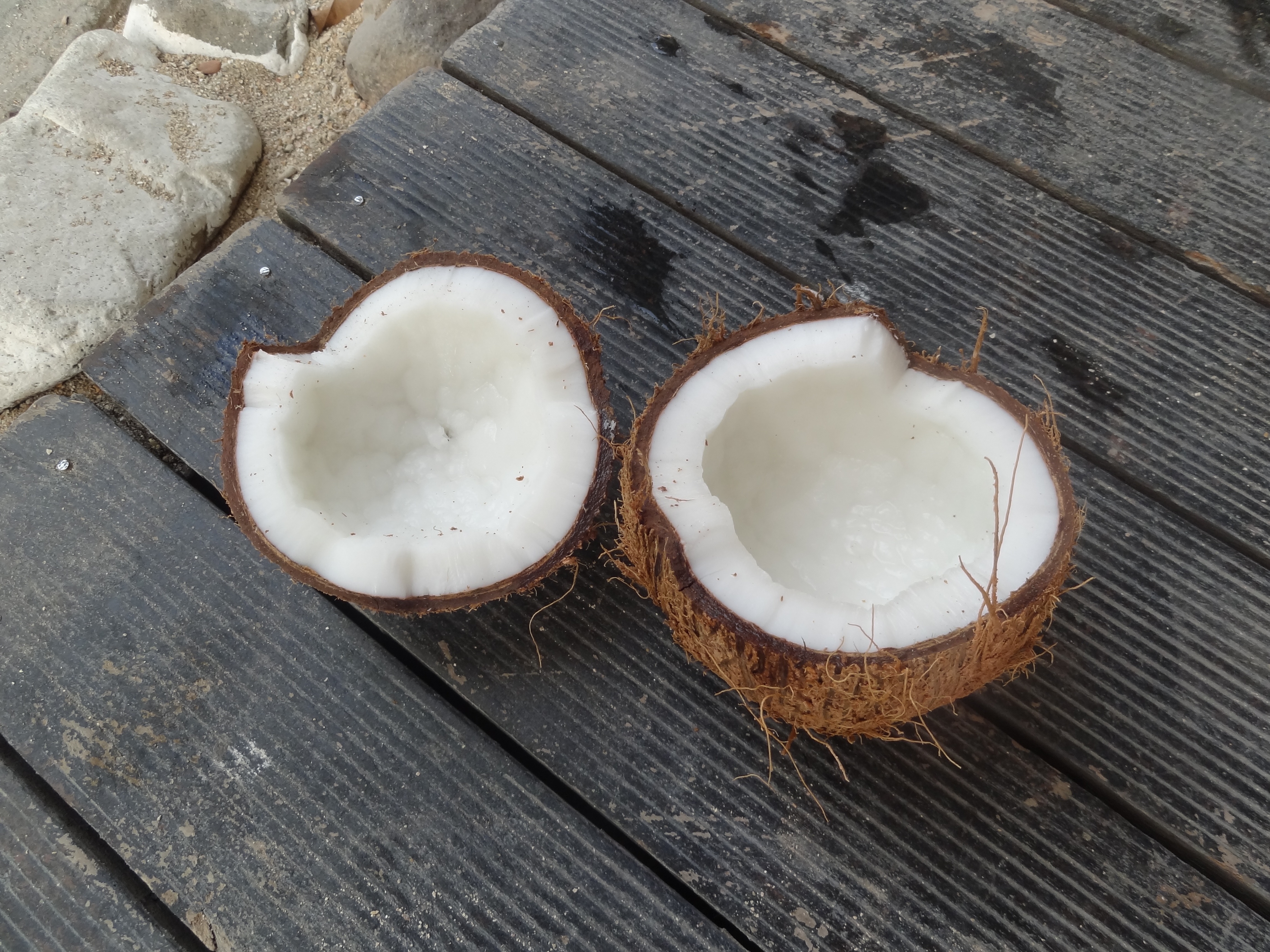 brown white coconut