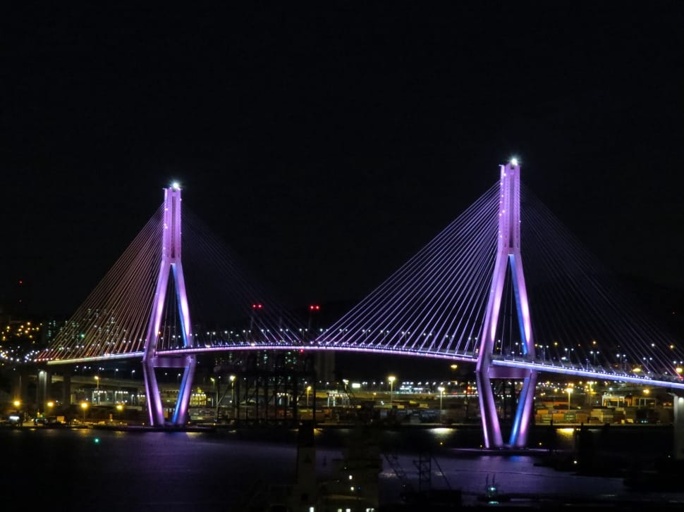 photography of pink cable bridge at night preview