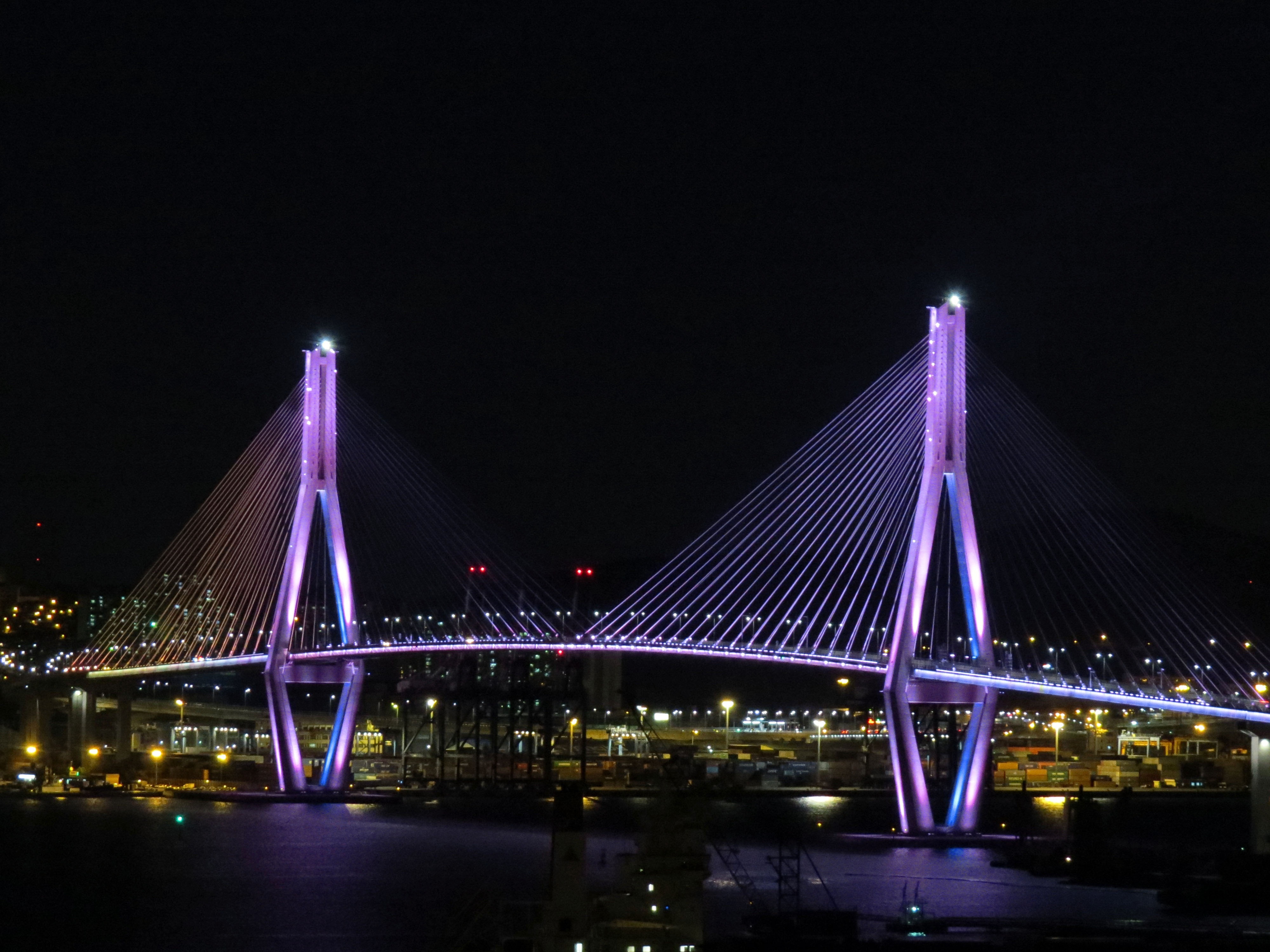 photography of pink cable bridge at night