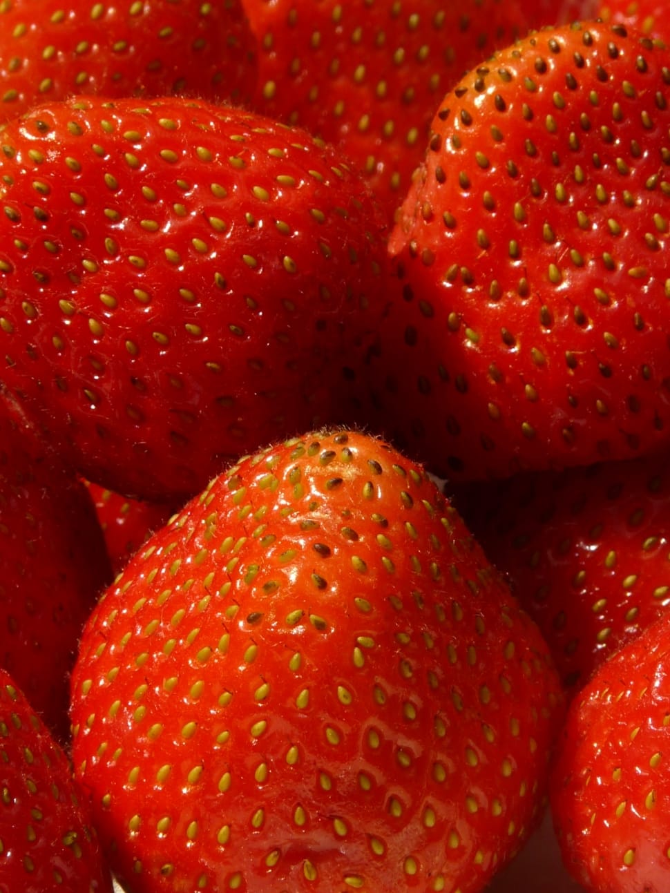 strawberries preview