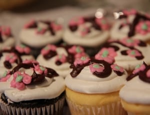 assorted cupcakes with toppings thumbnail