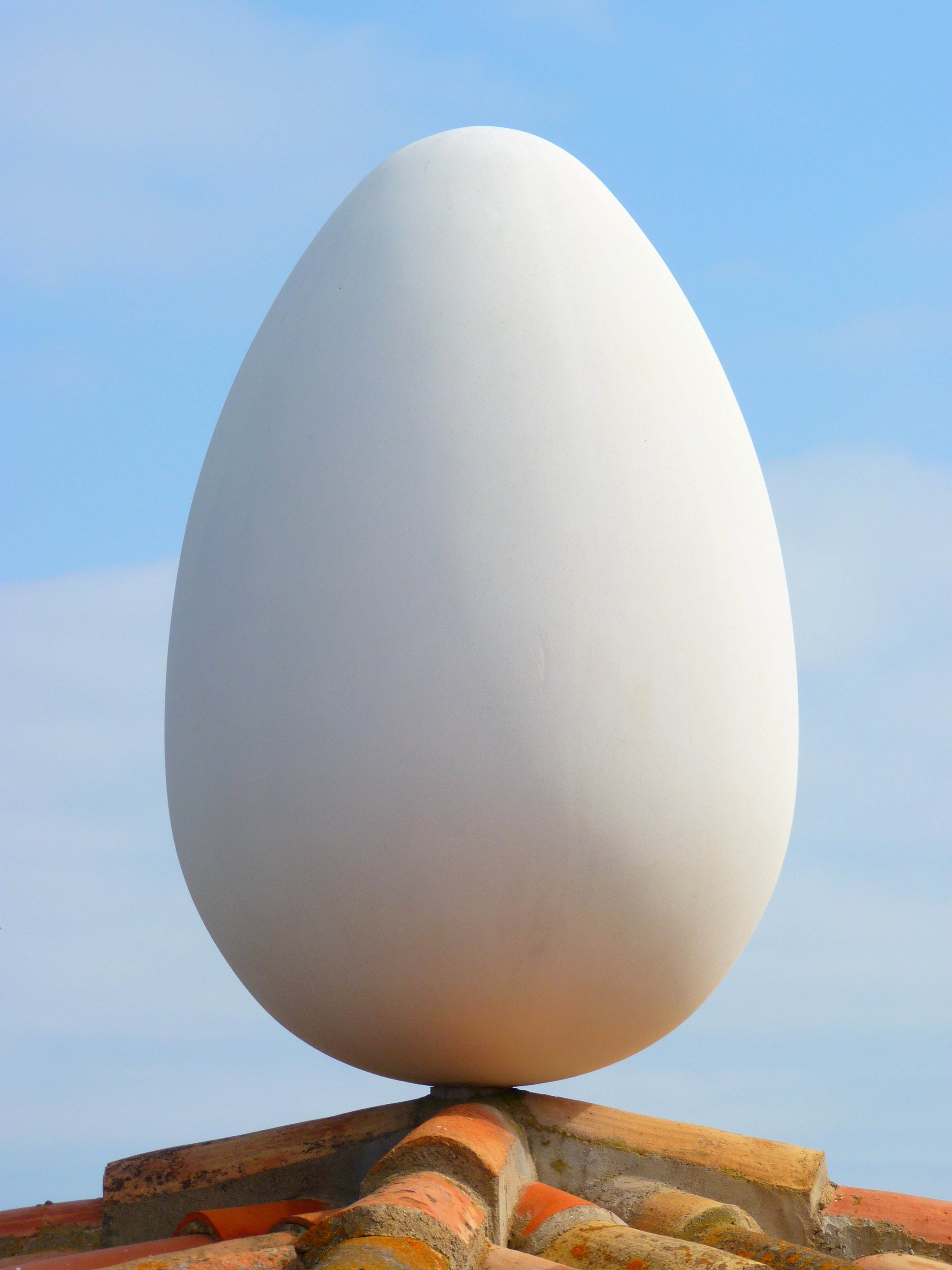 Громадное яйцо. Яйцо. Яйцо большое. Крупные яйца.