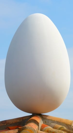 white egg thumbnail