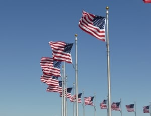united states of america flag lot thumbnail
