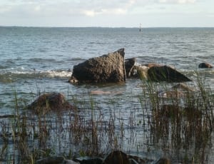Nature, On The Go, Idyll, Water, water, sea thumbnail