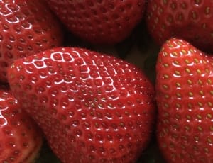 red strawberry fruit thumbnail
