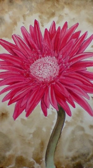 pink and green flower artwork thumbnail