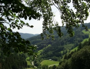 green trees over looking green valley during daytime thumbnail