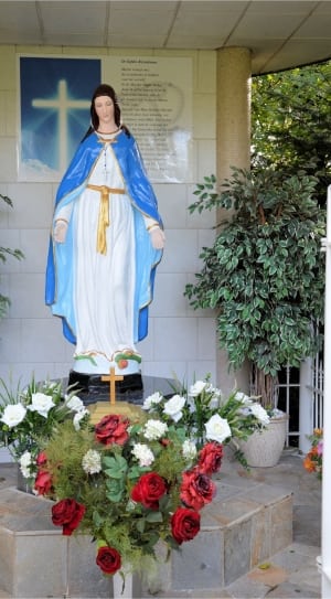 blue and white mama mary statue thumbnail