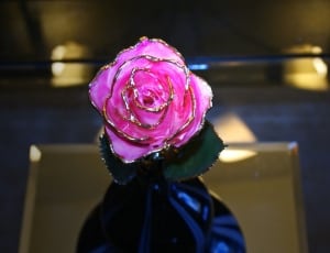pink and gold rose flower ornament thumbnail