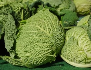 green cabbage thumbnail