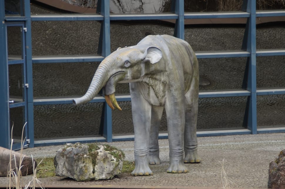 white and gray elephant statue preview