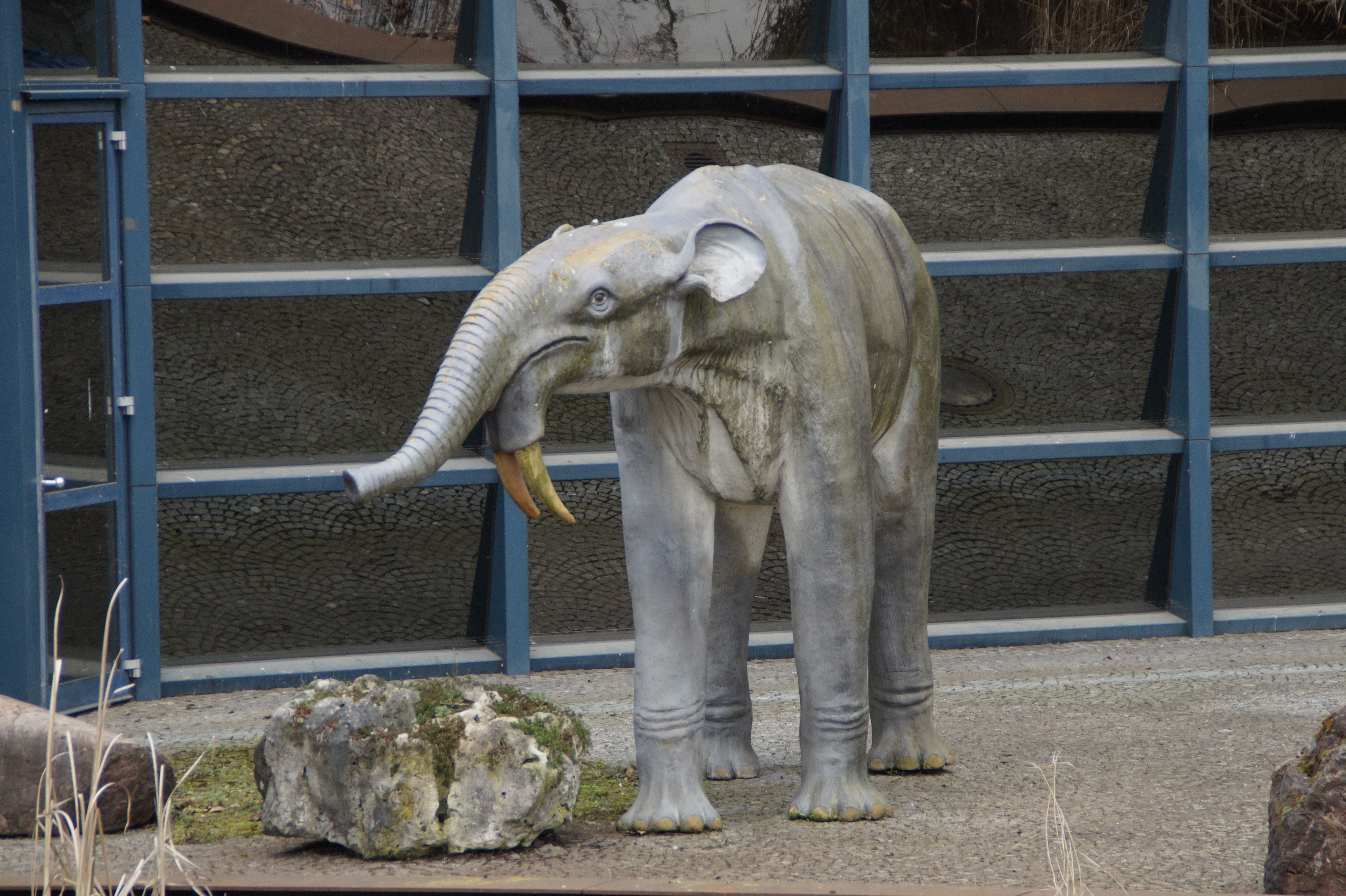 white and gray elephant statue