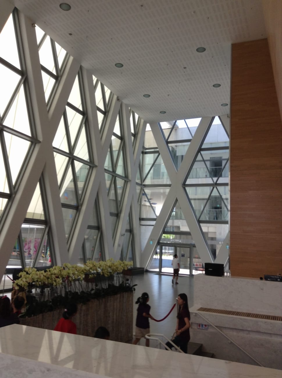 triangular clear glass building windows preview