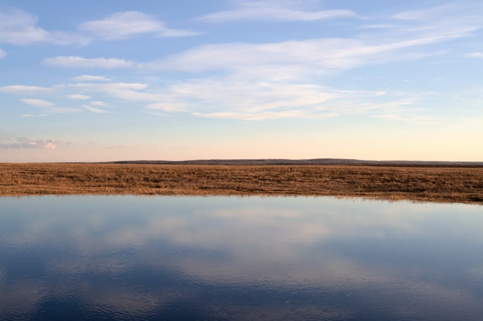 body of water near brown grass under blue sky photo preview