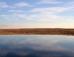 body of water near brown grass under blue sky photo thumbnail