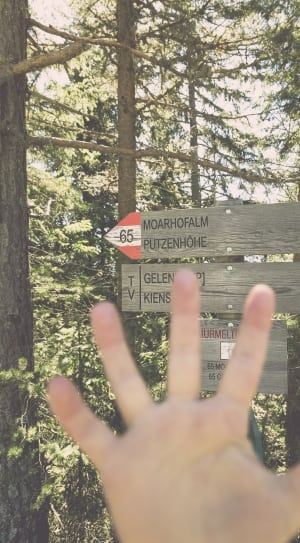brown wooden signage  showing putzenhohe thumbnail