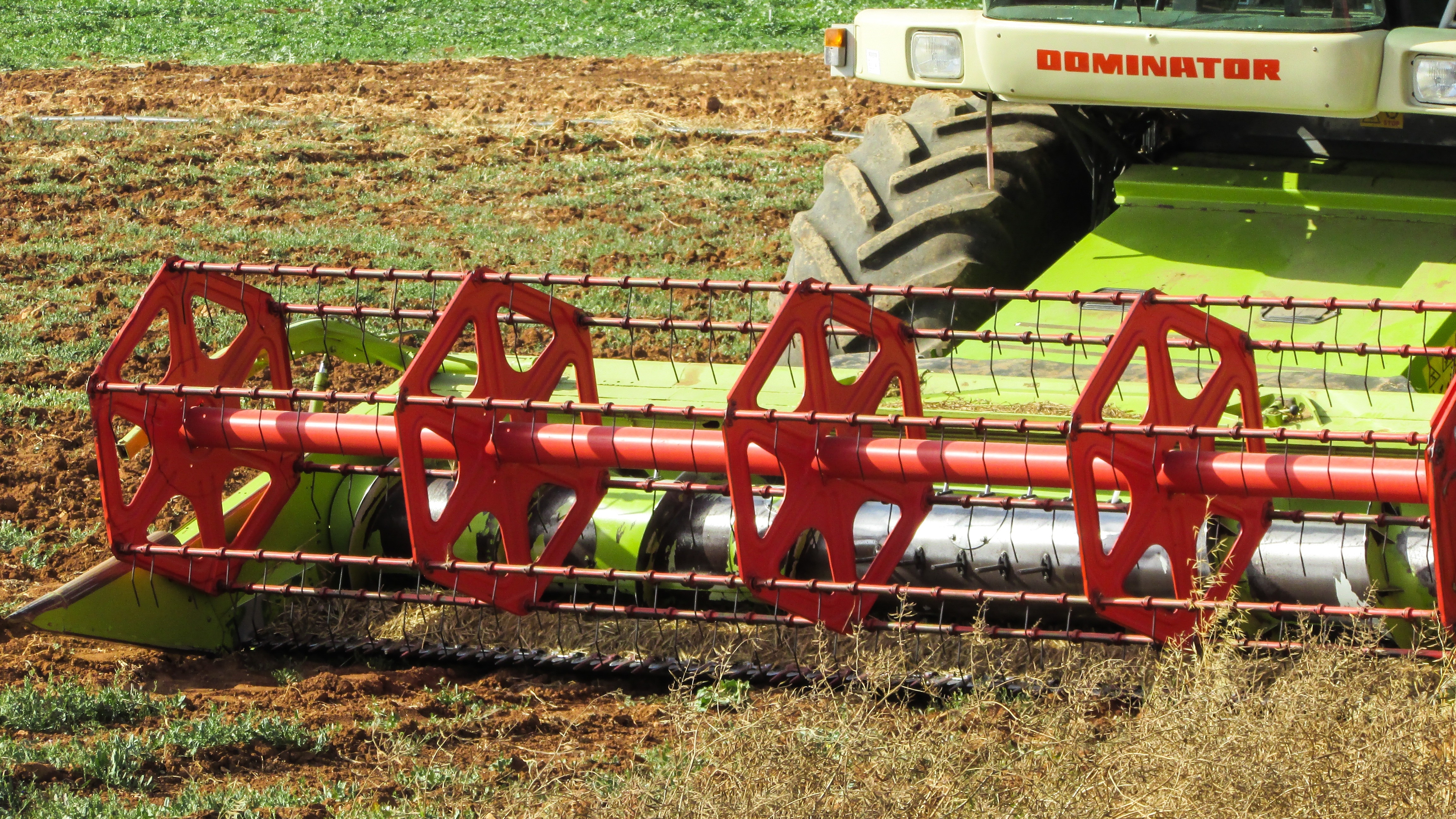 red and green Dominator cultivator on green field