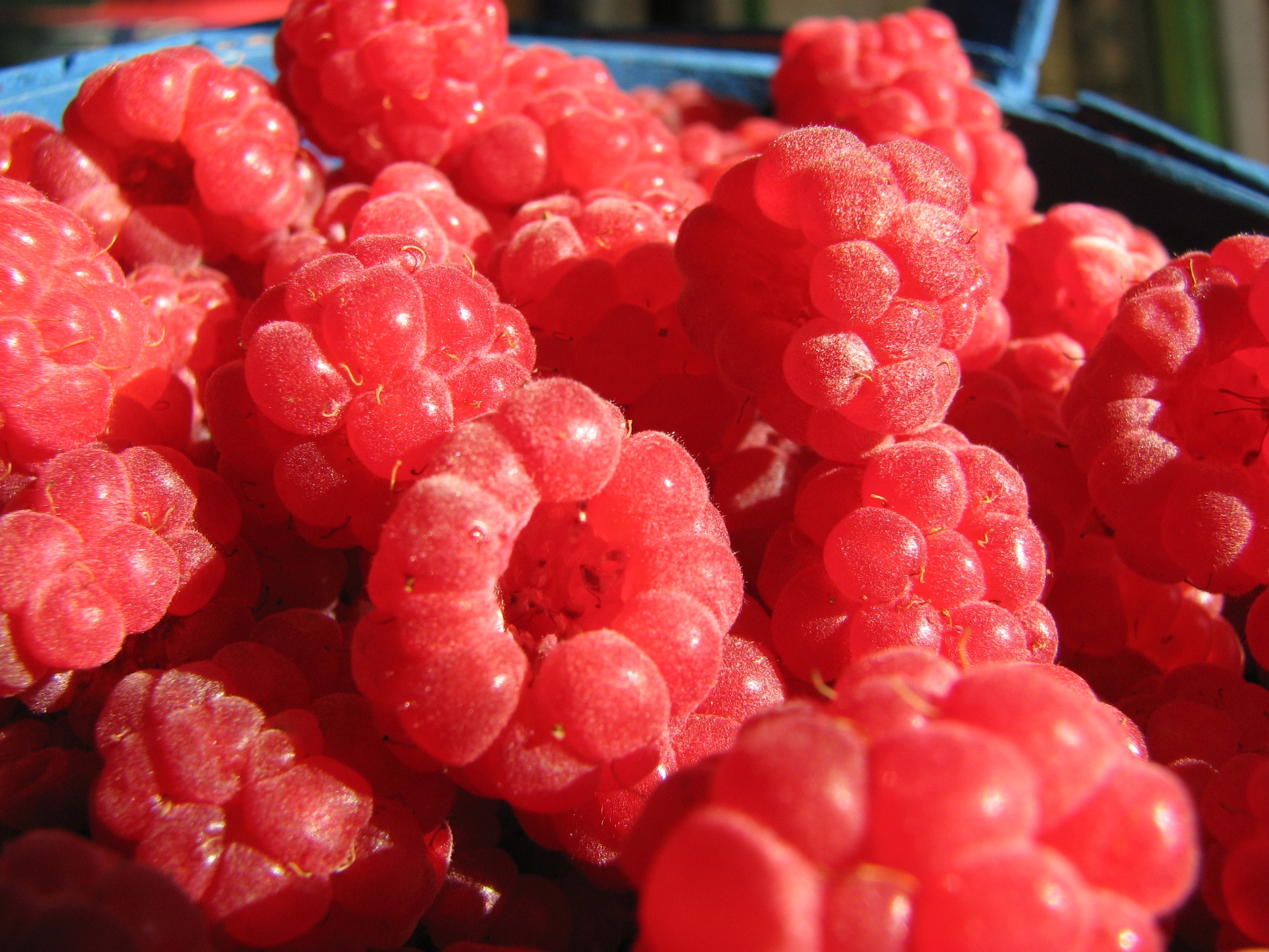 red round fruits