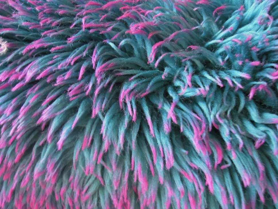 teal and pink furred textile preview