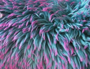 teal and pink furred textile thumbnail