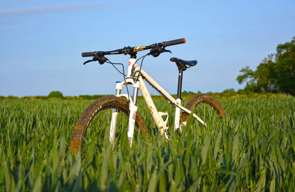 white bicycle on green grass preview