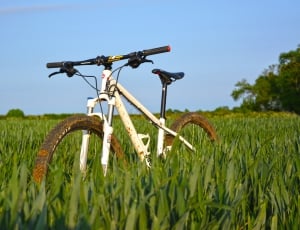 white bicycle on green grass thumbnail