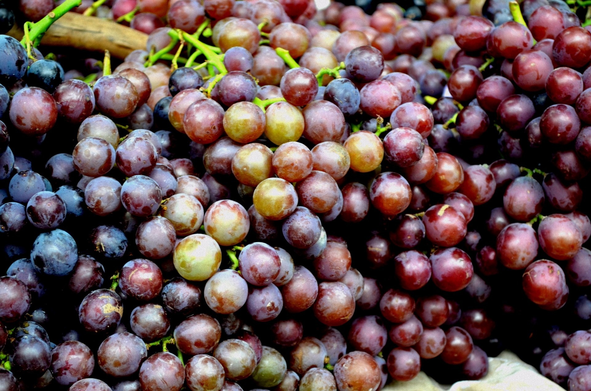 bunch of ripe grapes