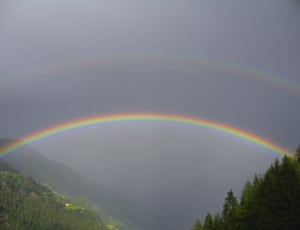 rainbow and green leaved trees thumbnail