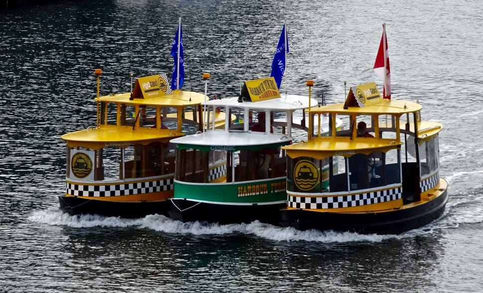 yellow green and white river boat preview