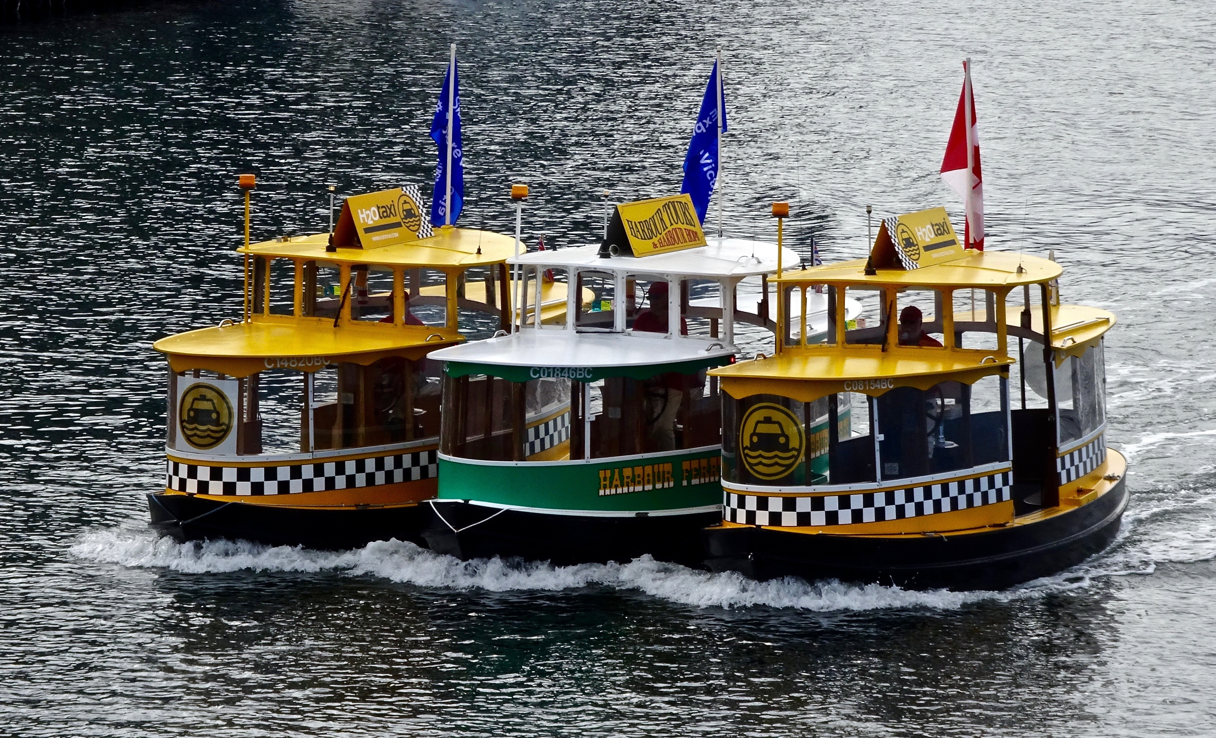 yellow green and white river boat