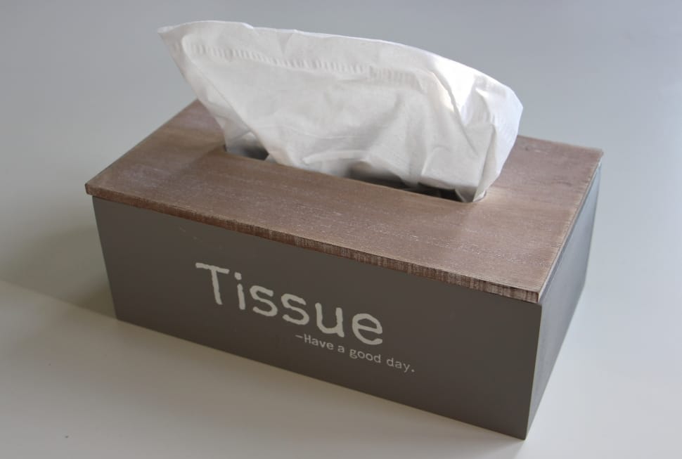 gray rectangular tissue box preview