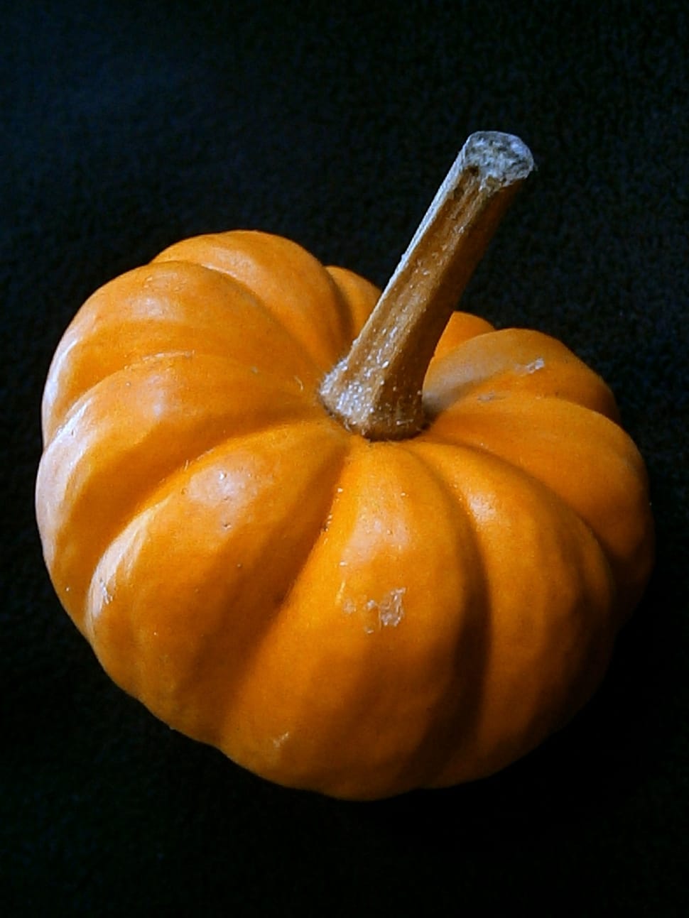 Pumpkin, Gourd, Miniature Pumpkin, pumpkin, vegetable preview