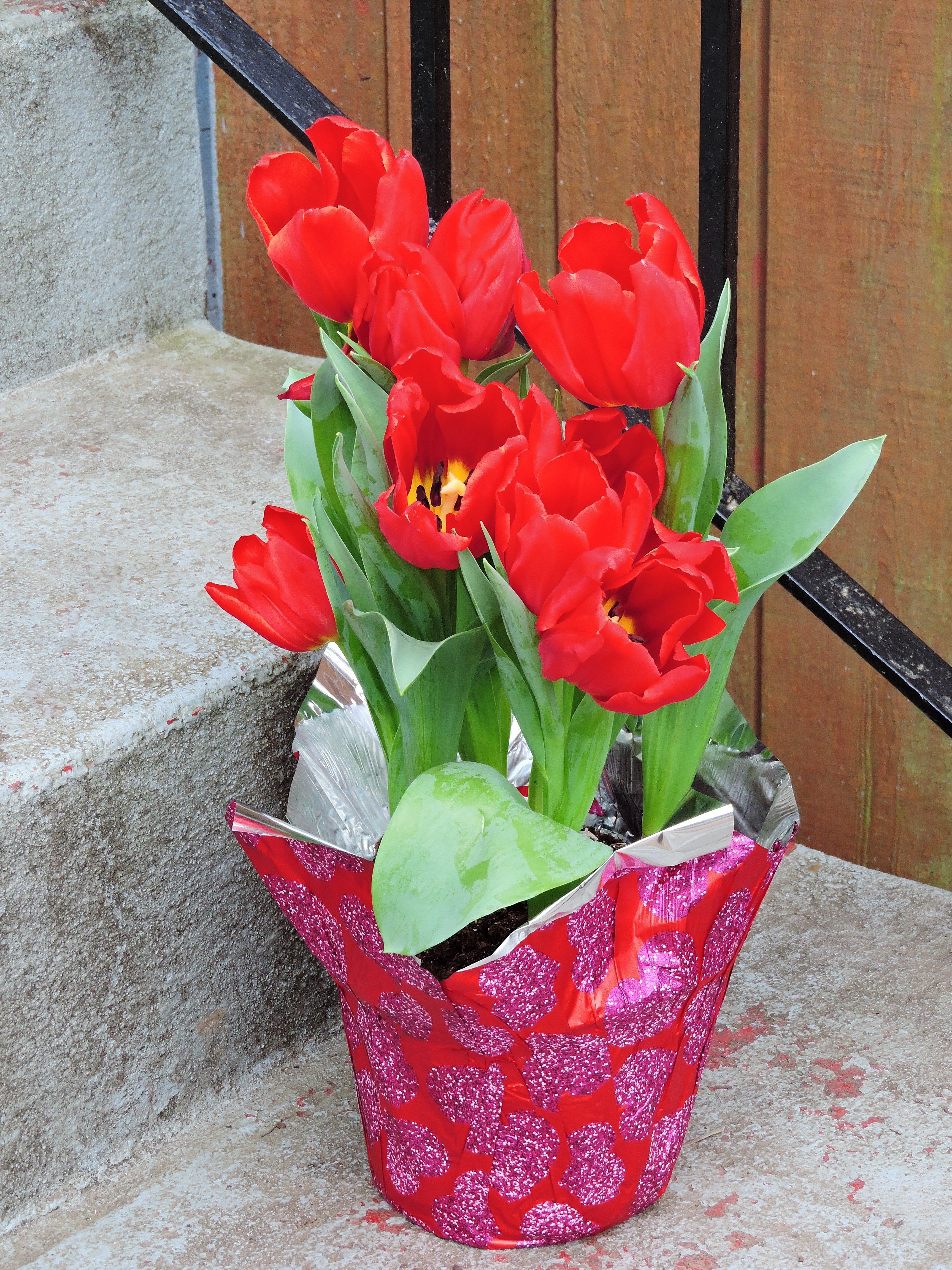 red and green petaled flower