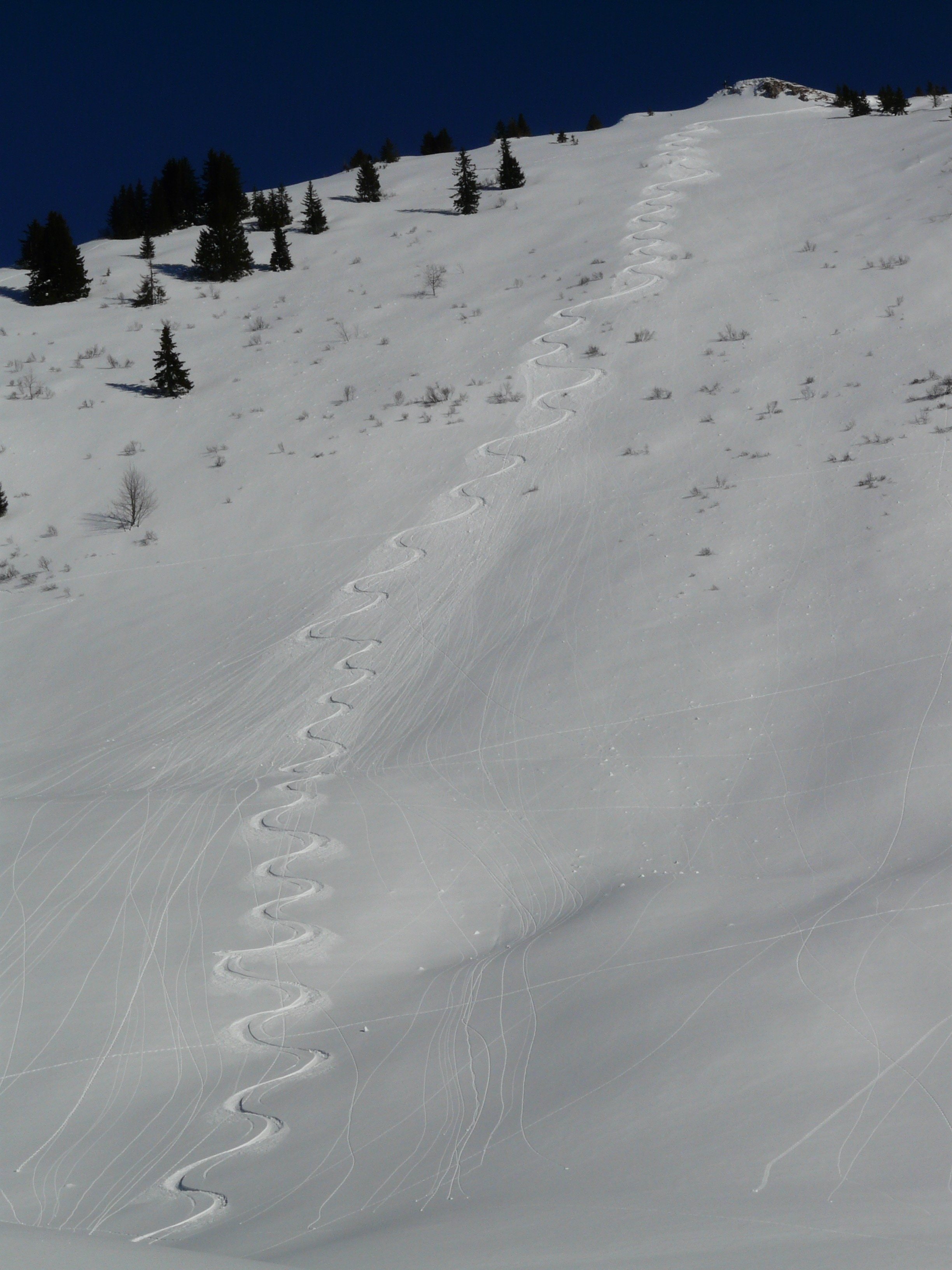 snow trail