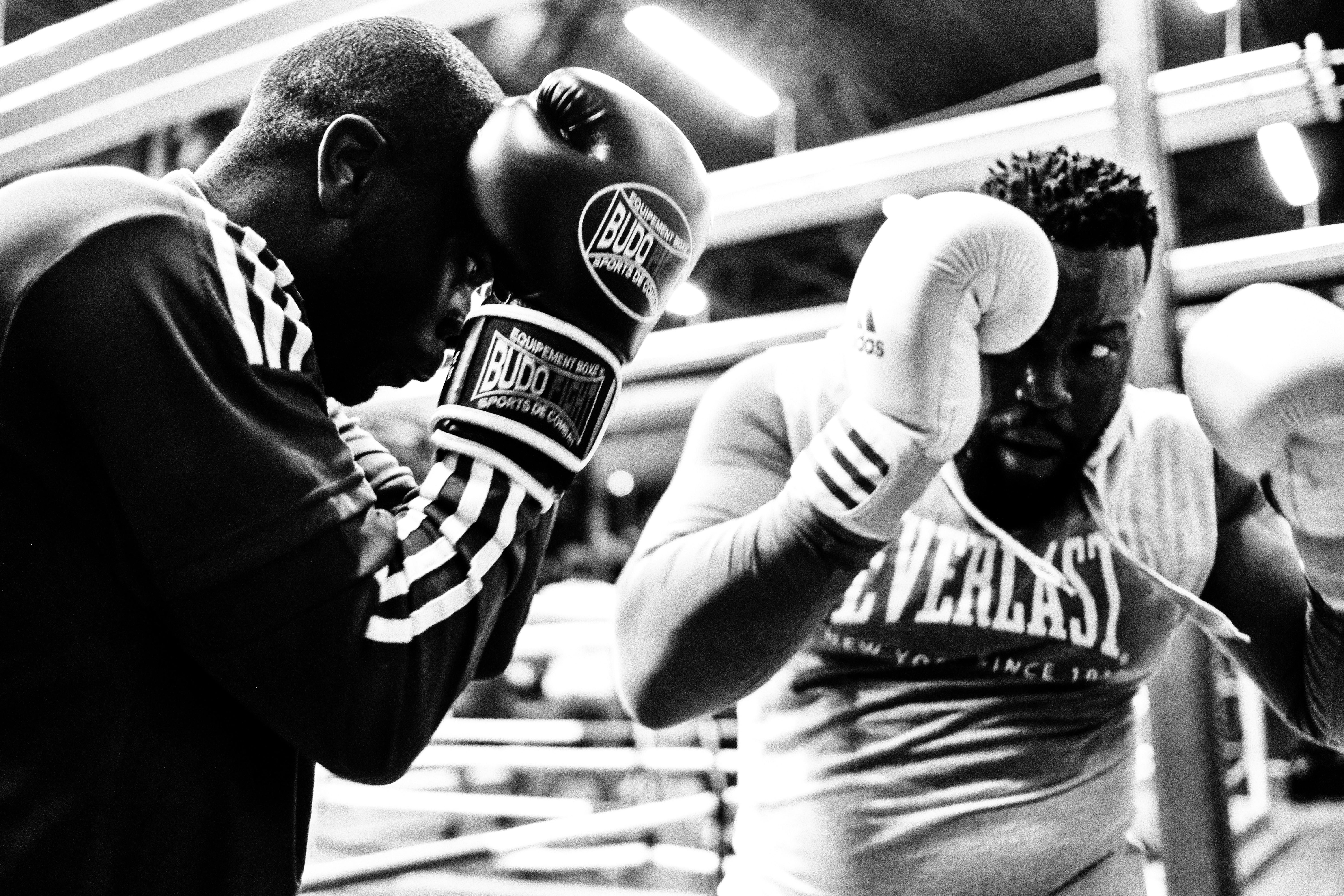 grayscale photo of two boxer doing sparring