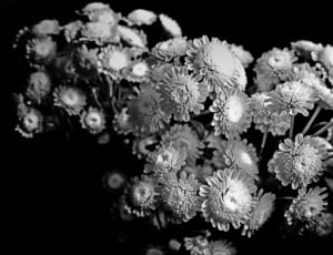 grayscale photography of flower bouquet thumbnail