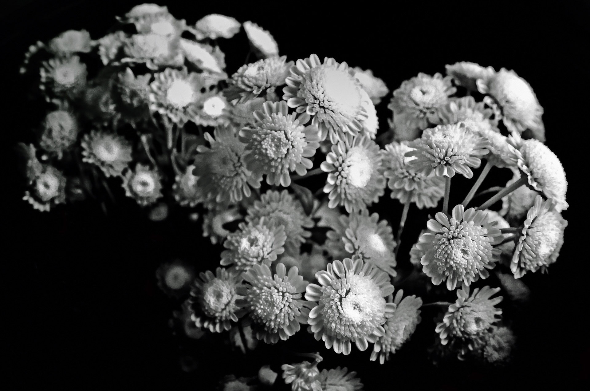 grayscale photography of flower bouquet