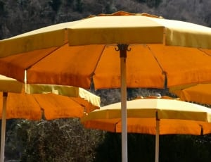 yellow pation umbrella thumbnail