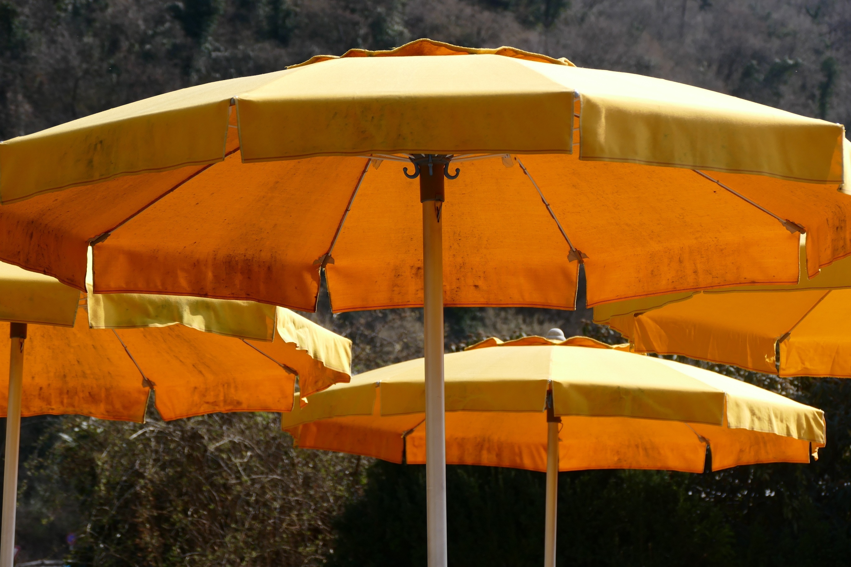 yellow pation umbrella