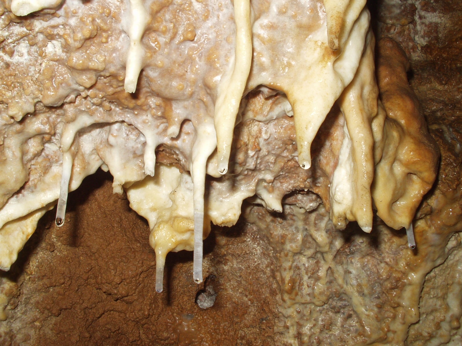 brown stalactites