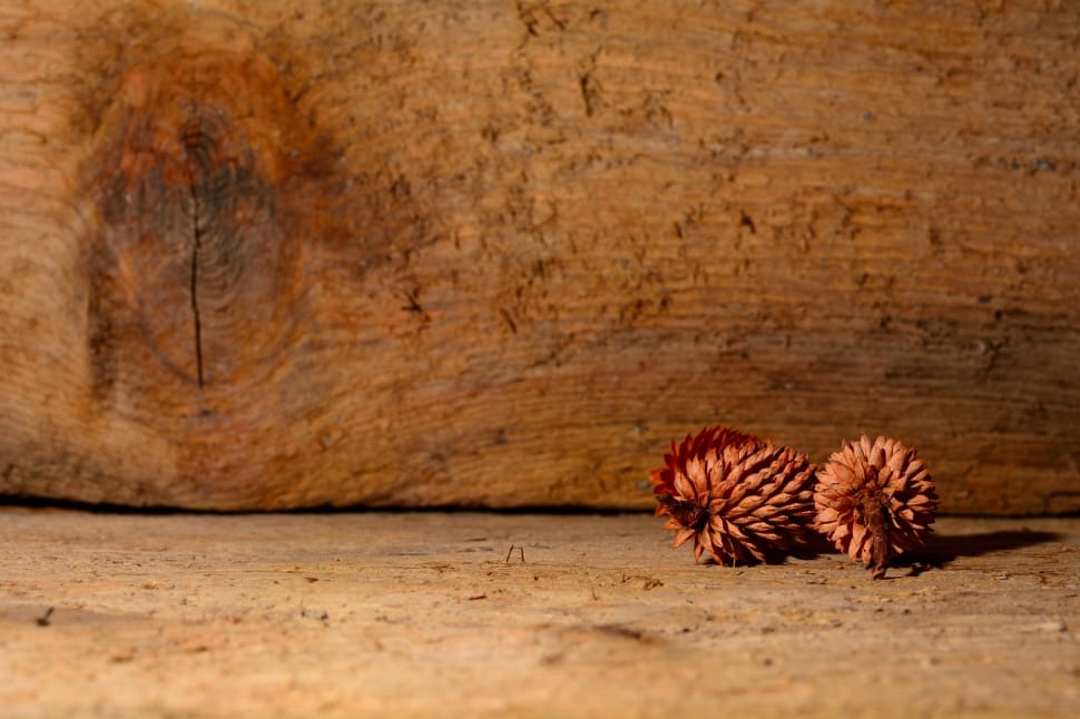 2 brown pine cones preview