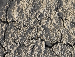 dried soil thumbnail