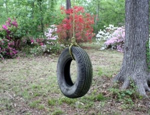 black tire swing thumbnail